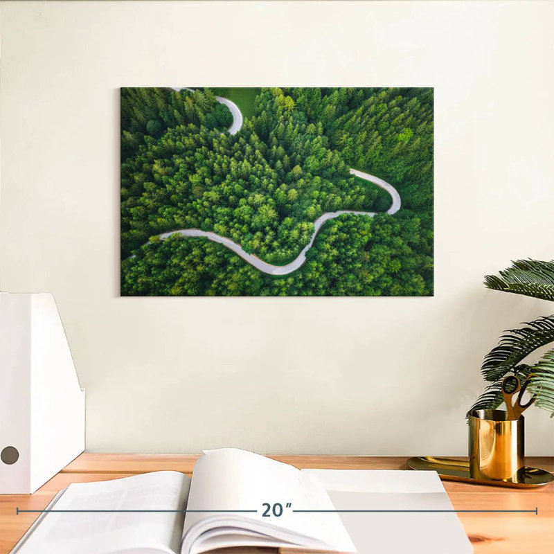 Alvord Winding Pine Forest Road, H 8 po x l 12 po