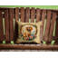 Coussin décoratif-2007371895