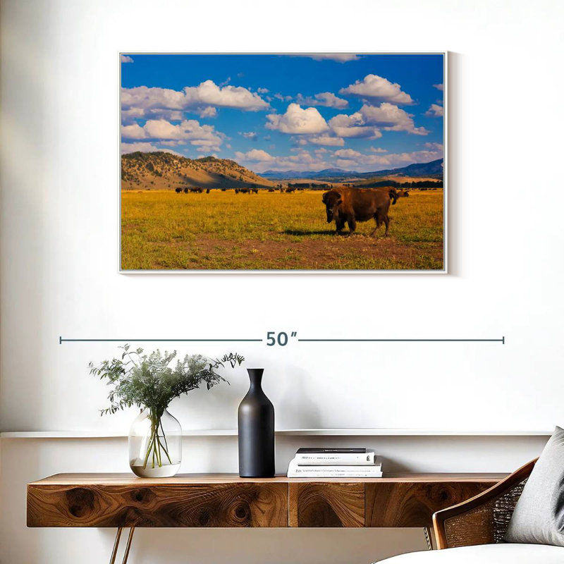 Bison dans le parc national, Cadre flottant blanc, 37 po x 25 po
