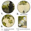 Vienna's Grand Imperial Architecture II - Vienna Wall Art Living Room-1559689249-1559689252-1559689248