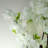 Plastic, Silk Artificial Arrangement in Planter-88443230