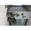 Pot Planter-229938282