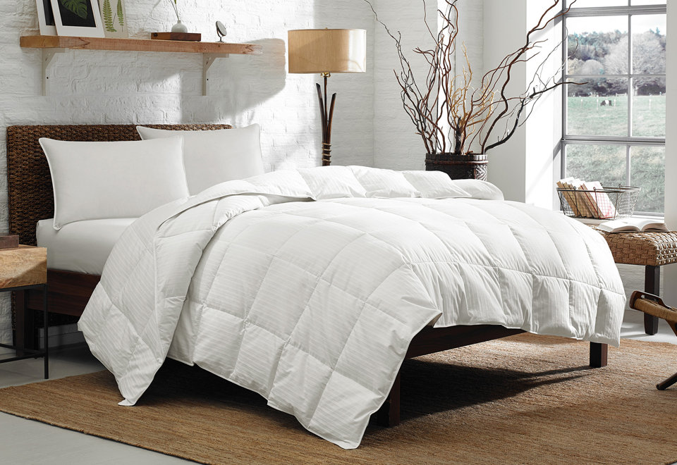 Comforters & Duvet Inserts