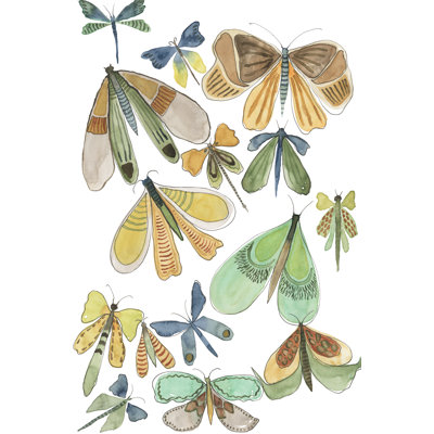 Wings Galore II