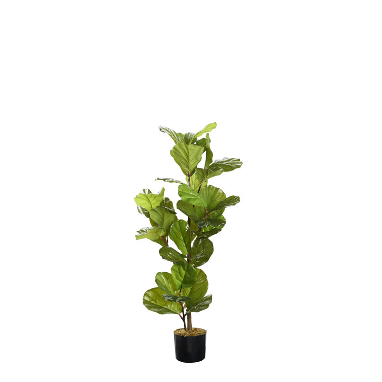 D & W Silks Faux Fiddle Leaf Fig Tree In Planter 