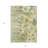 3' X 5' Sage Fern Green And Ivory Floral Washable Indoor Outdoor Area Rug