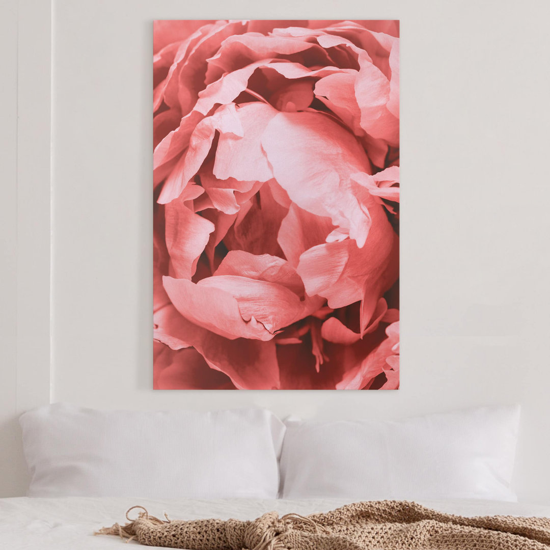 Leinwandbild Peony Flower Coral