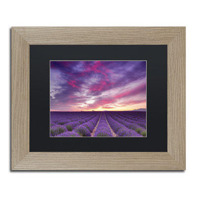 «Pink and Purple», impression sur toile encadrée