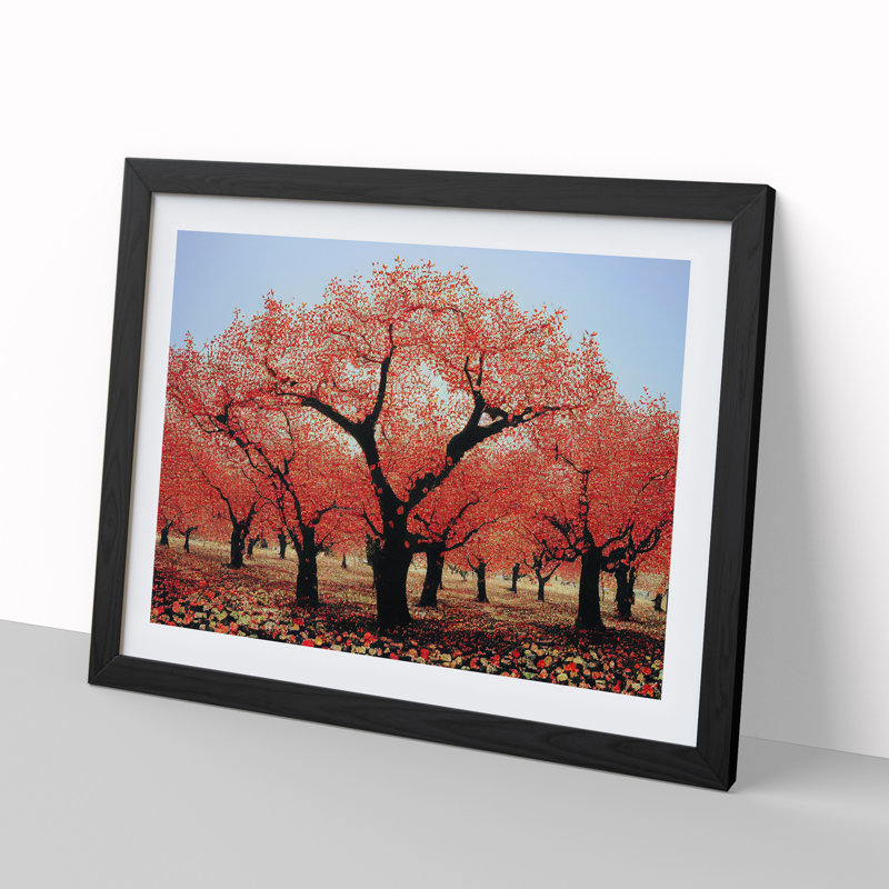 XH1022-7139X Pretty Apple Trees - Single Picture Frame Print, Black, 46cm H x 64cm W
