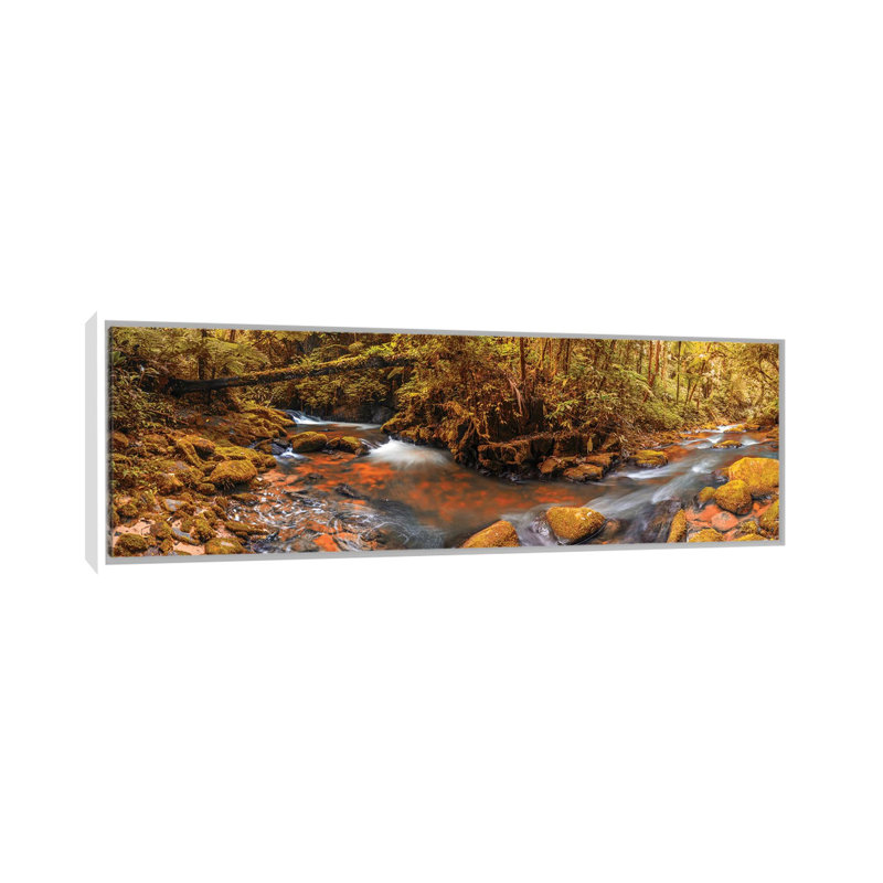 Jungle Panorama II by Glauco Meneghelli - Print on Canvas, 30.48 cm H x 91.44 cm W, White Floater Frame