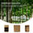 Meg Modern 24"Tall 1-Drawer Fluted Solid Wood End Table with Built-In Charging Ports And Fully Assembled-1773977437