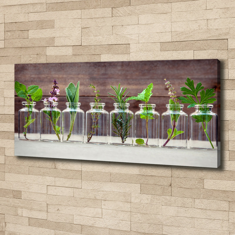Plants In Jars - No Frame Print, Canvas, 50cm H x 125cm W x 2cm D