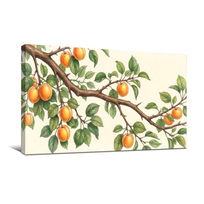 Plantes et fleurs, branche d'abricot avec feuilles et fruits verts