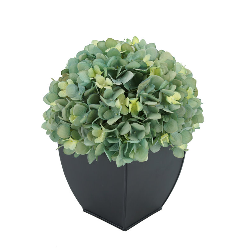 Arrangement floral hortensia en pot, Bleu sarcelle