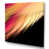 Wrapped Canvas