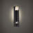 Scepter Dimmable 3000K LED Outdoor Wall Light
