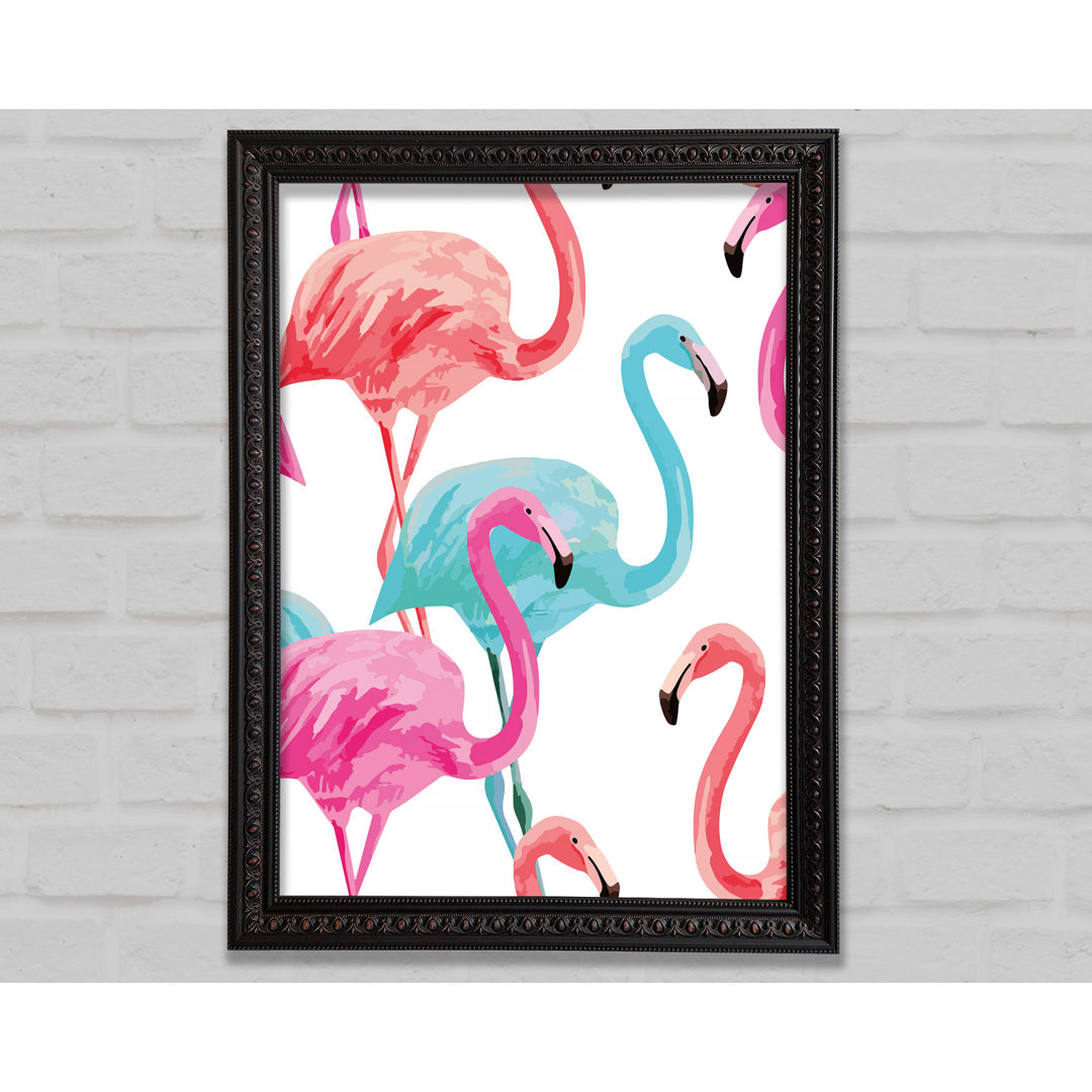 Flamingo Colours - Einzelne Bilderrahmen Kunstdrucke