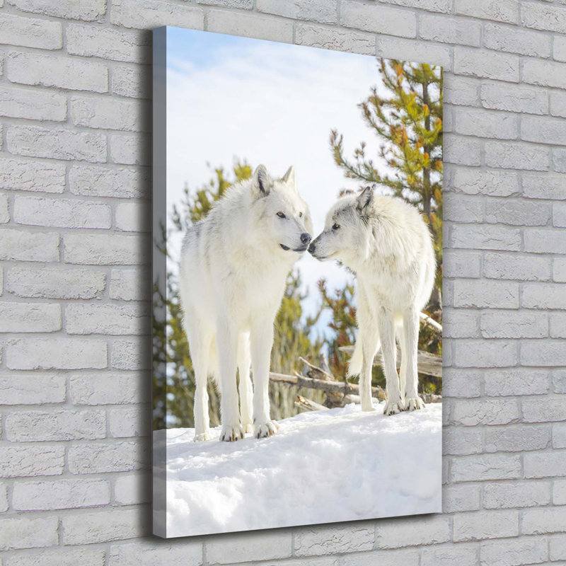 Two White Wolves - Wrapped Canvas Print