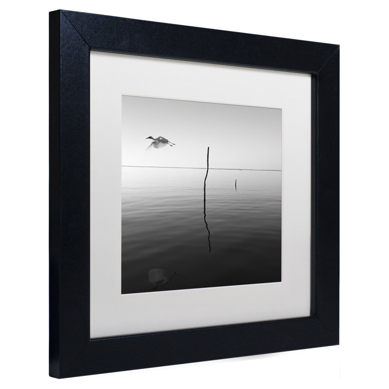 «Fly» par Moises Levy, reproduction de photo sur toile encadrée, H 16 po x l 16 po x P 0,5 po, Blanc