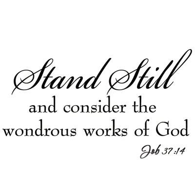 Customhouse Text & Numbers Non-Wall Damaging Wall Decal