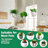 Plant Hanger