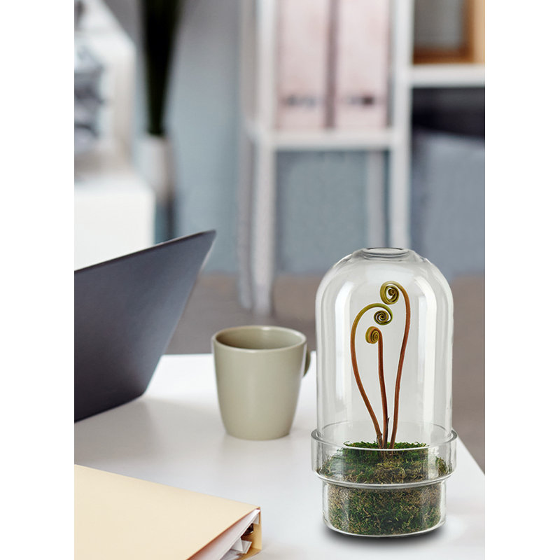 Vase de table en verre Lukats, H 11 po x l 6,25 po x P 6,25 po