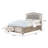 Eastern King Storage Panel Bed Metallic Platinum