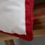Christmas Robins Large Scatter Cushion With Filling