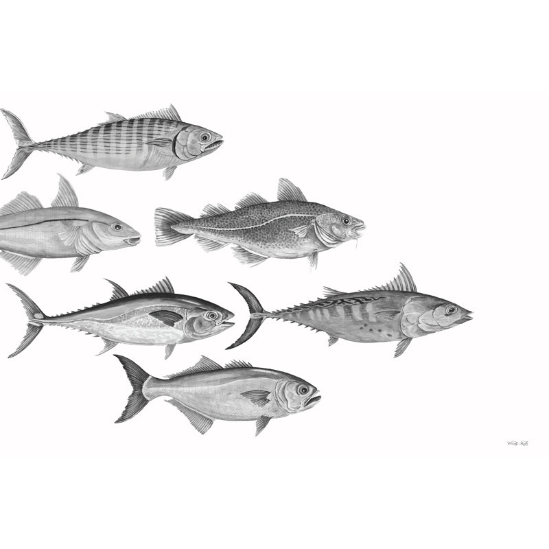 Variété de poisson I 2886532, Blanc, H 32 po x l 48 po, Imprimé à cadre argenté