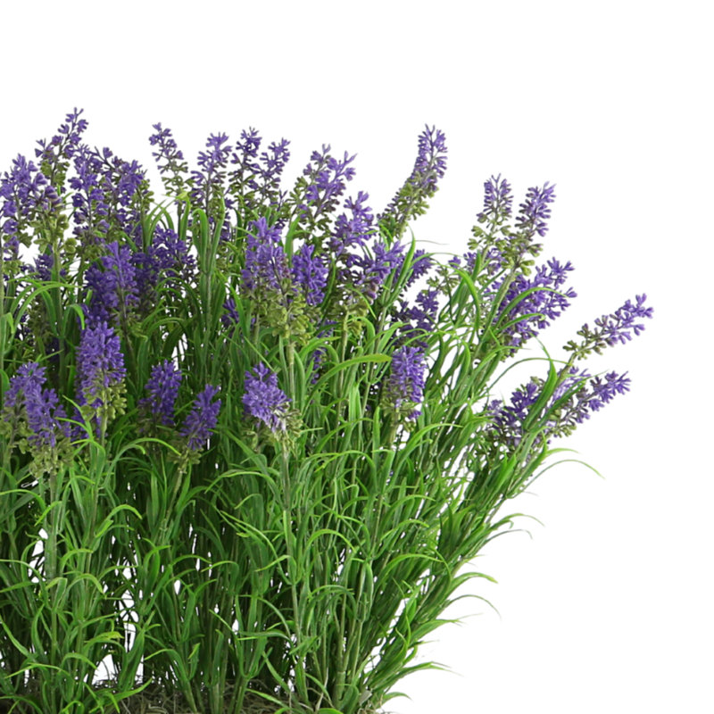 Outdoor UV-Rated Lavender in Rectangular Planter