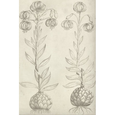 Fresco Floral II - Graphic Art
