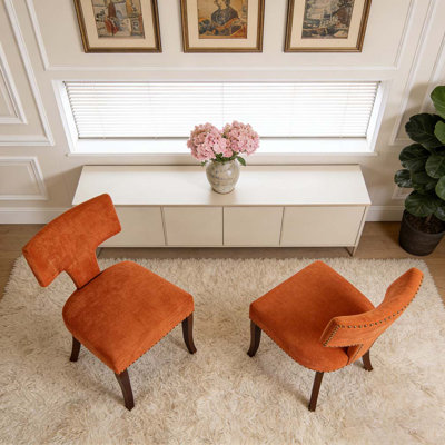 Century Modern Dining Chairs Set