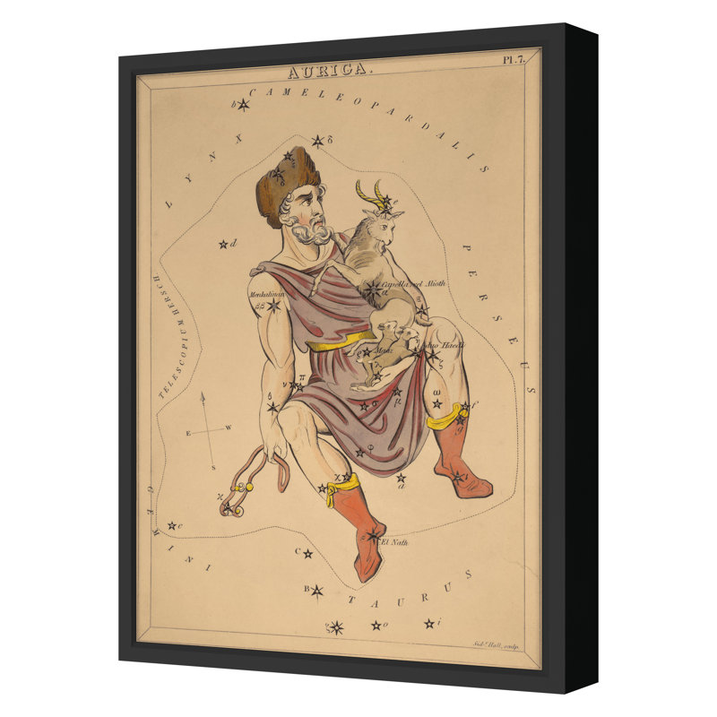 Auriga Print by Grand Archives, 32" H x 23" W, Black Framed