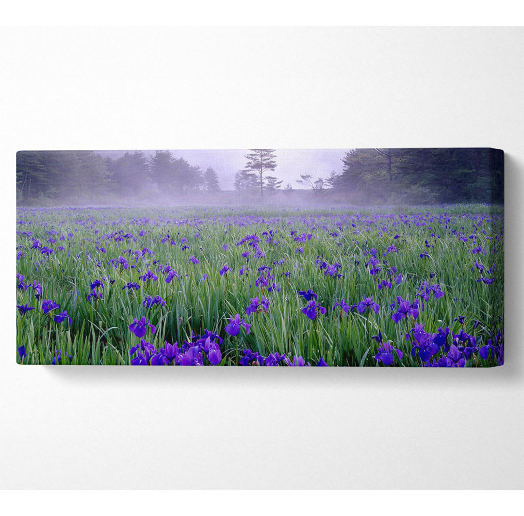 Bluebell Mist - Kunstdrucke auf Leinwand - Wrapped Canvas