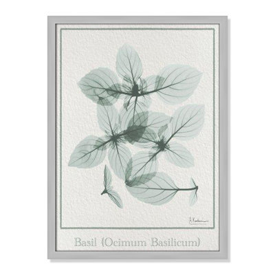 Jeanette "Basil Ocimum Basilicum" Painting