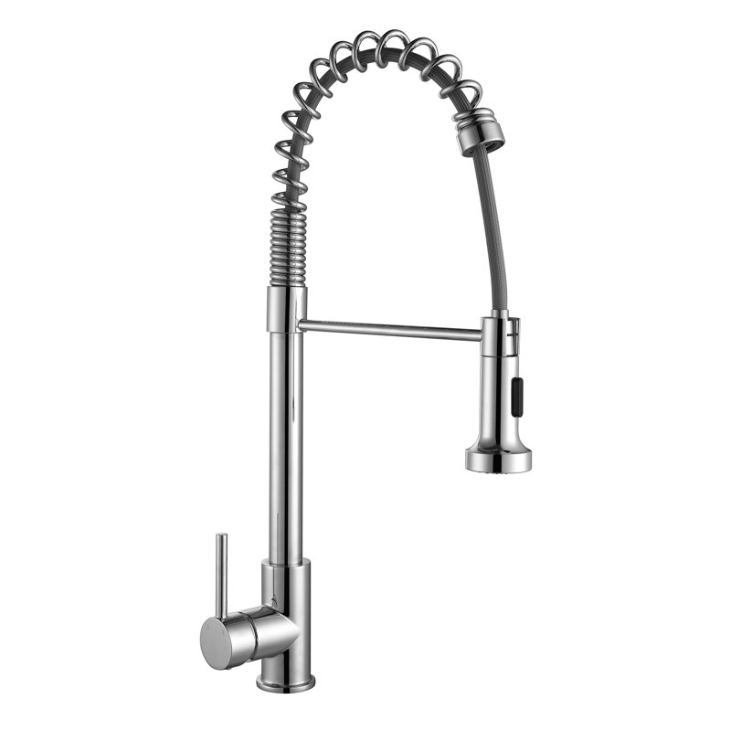 Belfry Kitchen Fresnel Pull Down Kitchen Faucet