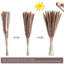 Decorative Object