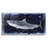" Shark Swim 3 " by Seven Trees Design-99529451
