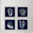 " All About Shells Quadriptych " 4 - Pieces-27007771