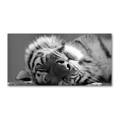 Sleepy Tiger - Wrapped Canvas Print