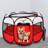 Collapsible Pet Carrier with 1 Door