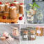 40 Pack 3.4 oz Syntic Small Glass Jars with Cork Lids, Halloween Glass Candy Jar for Pantry Clear