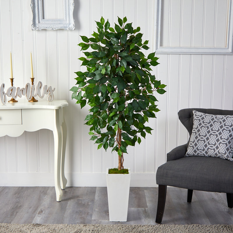 Arbre ficus artificiel en pot, H 54 po x l 21 po x P 19 po, Blanc