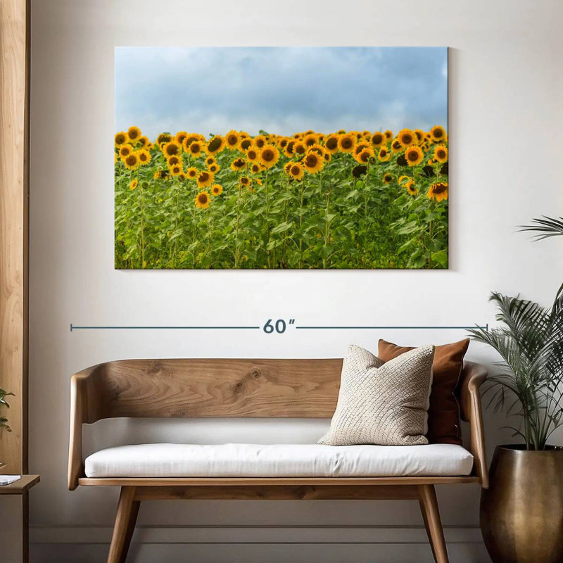Tournesols Alvord, H 32 po x l 48 po