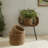Birch Lane™ Charton Seagrass Basket