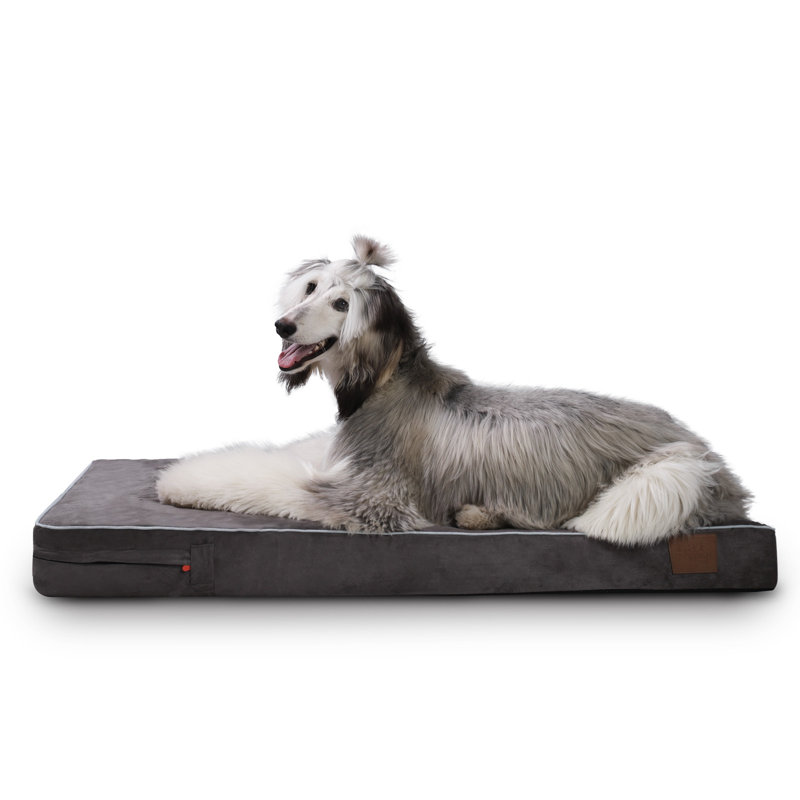Tapis mémoire Johnone, l 46 po x p 28 po x H 4 po, Clair