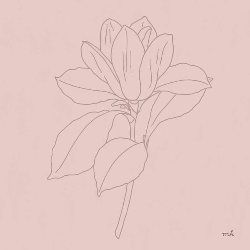 Magnolia Line Drawing - Wrapped Canvas Print, 91cm H x 91cm W