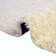 Eginhardt Shag Pure Area Rug