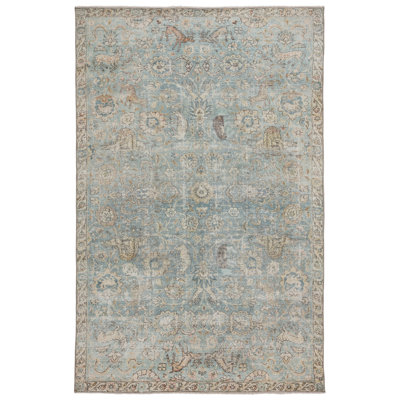 Captiva Oriental Indoor Rug