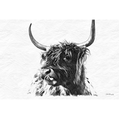 S Croquis Highland II par Dakota Diener